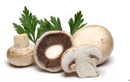 黑料吃瓜蘑菇视频,蘑菇视频带你探秘娱乐圈幕后真相