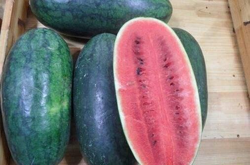 每日黑瓜吃料网今日更新,揭秘今日热点事件,吃料网新鲜资讯速递